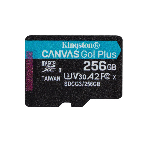 KINGSTON microSDXC Canvas Go Plus 256GB-10040577
