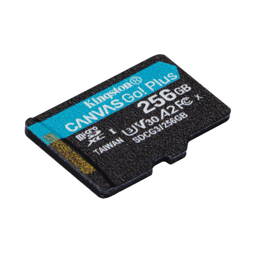 KINGSTON microSDXC Canvas Go Plus 256GB-10040578