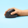 MYSZ LOGITECH LIFT Bluetooth Graphite-10101624