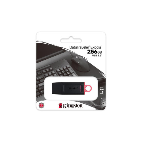 KINGSTON FLASH 256GB USB3.2 Gen1 DataTraveler Exodia (B+P)-10138353