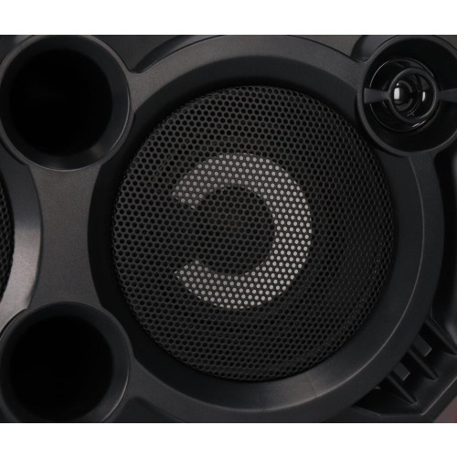 Głośnik APS31 system audio Bluetooth Karaoke-10162834
