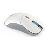 Mysz ENDORFY GEM Plus Wireless Onyx White-10272154