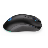 Mysz ENDORFY GEM Plus Wireless-10272172
