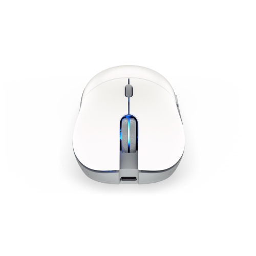 Mysz ENDORFY GEM Plus Wireless Onyx White-10272157