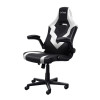 Fotel gamingowy TRUST GXT703W RIYE GAMING CHAIR WHITE-10312921