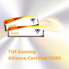 Pamięć DDR5 Viper Elite 5 RGB TUF 32GB/6600 (2x16GB) CL34-10327776
