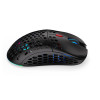Mysz gamingowa ENDORFY LIX Plus Wireless-10334882