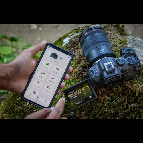 Aparat bezlusterkowy EOS R6 Mark II 5666C004 V5 + Obiektyw RF 50mm F1.8 STM 4515C005-10325277