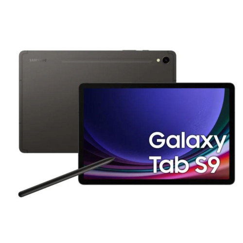 Tablet Galaxy Tab S9 X716 5G 11.0/8GB/128GB Szary-10325742