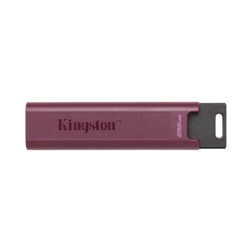 MEMORY DRIVE FLASH USB3.2/256GB DTMAXA/256GB KINGSTON-11070316