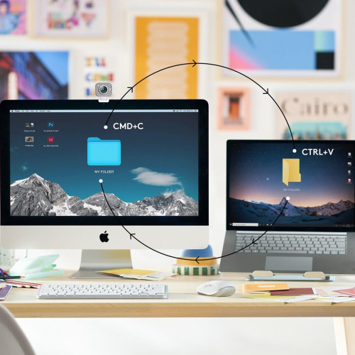 MXKEYS MINI WRLS ILLUMINATED KB/ROSE - US INT.L - INTNL-11361952