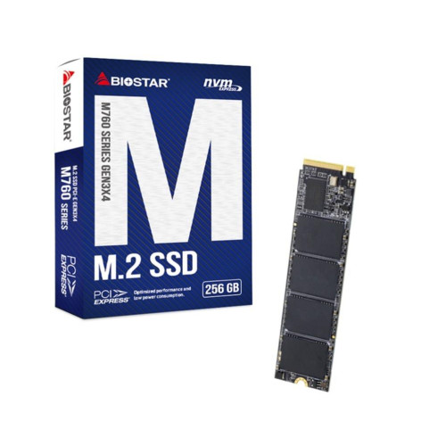 Dysk SSD Biostar M760 256GB-11698934