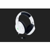 Razer Kaira Pro Headset-11840015
