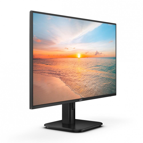 Monitor 24E1N1100A IPS 23.8 cala 100Hz HDMI-11829223