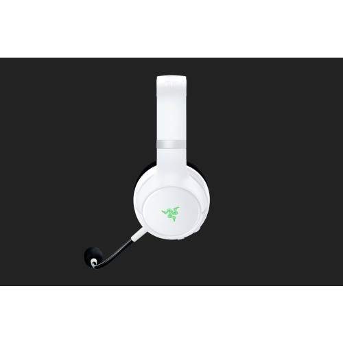 Razer Kaira Pro Headset-11840014