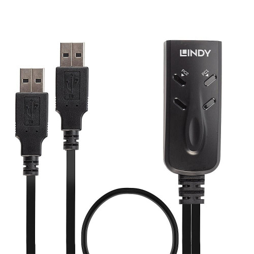NET SWITCH KVM USB 2PORT/32165 LINDY-11842038