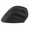 Mysz bezprzewodowa ergonomiczna praworęczna,akumulator Dual WL+BT-12422217