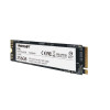 Dysk SSD P300 256GB M.2 PCIe Gen 3 x4 1700/1100-1247001