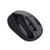 Mysz TRUST BASICS WIRELESS MOUSE 24658-12542653