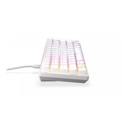 Klawiatura - Qara 60% WHITE RGB-12727125