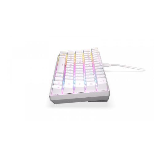Klawiatura - Qara 60% WHITE RGB-12727126