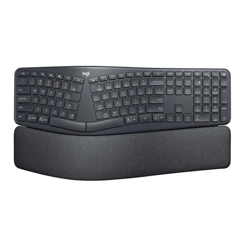 ERGO K860 FOR BUSINESS-GRAPHITE/DEU - CENTRAL-13337800