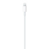 Kabel USB-C TO LIGHTNING (2M)-13462279
