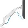 Uchwyt do monitora biurkowego DS70-250WH1 17-35 cali 9kg-13464814