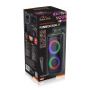 Głośnik FUNBOX BT MT3181 Bluetooth 5.0/TWS/MP3/MicroSD/USB/AUX/Equalizer/Jack 6.3/RGB/USB-C/ RMS 40W/PMPO 1000W-134670
