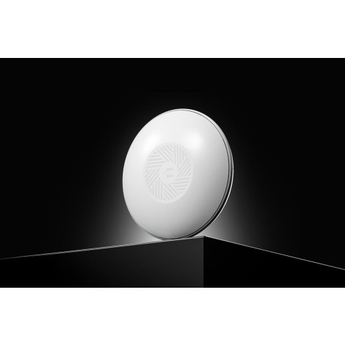 Teltonika · Accesspoint· TAP100· 2x1· Wi-Fi 4· 300Mbit· 1x 10/100· 15W PoE - Access Point - 0,1 Gbps 300 Mbit/s B