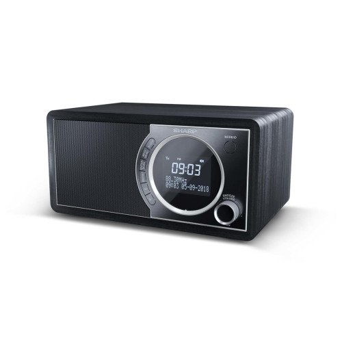 Sharp DR-450 Osobisty Cyfrowy Czarny, Stal nierdzewna-13771074