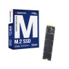 Dysk SSD Biostar M760 256GB-13808170
