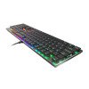 GENESIS Thor 420 RGB klawiatura Gaming USB AZERTY US English Srebrny-13839982