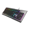 GENESIS Rhod 500 RGB klawiatura Gaming USB QWERTY-13839989