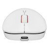 GENESIS Zircon XIII myszka Gaming Oburęczny RF Wireless + USB Type-C Optyczny 26000 DPI-13841643