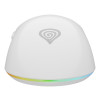 GENESIS Zircon XIII myszka Gaming Oburęczny RF Wireless + USB Type-C Optyczny 26000 DPI-13841645