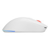 GENESIS Zircon XIII myszka Gaming Oburęczny RF Wireless + USB Type-C Optyczny 26000 DPI-13841646
