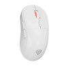 GENESIS Zircon XIII myszka Gaming Oburęczny RF Wireless + USB Type-C Optyczny 26000 DPI-13841654