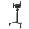 Neomounts FL50S-825BL1 uchwyt do tablic informacyjnych 190,5 cm (75") Czarny