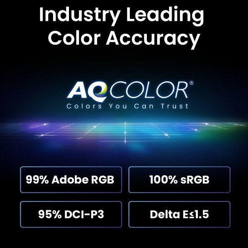 SW242Q 60.5CM 23.8IN IPS/1920X1080 5MS 250NITS 16:9 DP/2X-14022534