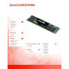 Dysk SSD Exceria 500GB NVMe 1700/1600Mb/s 2280 -1416272