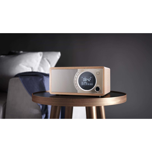 Radio cyfrowe Sharp DR-450(BR) z technologią Bluetooth-14172373
