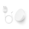 Przenośna lampa Philips Hue Go 2 RGBW BT 6W-14568099