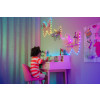 Inteligentne lampki dekoracyjne Strings USB-C (Candies) 100 LED RGB, serca, przezroczysty przewód, 6 m-14811457