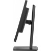 Monitor 24 cale XUB2497HSN-B2 IPS, USB-C Dock, HDMI, DP, 300cd, Pivot, HAS /5y/-14823544