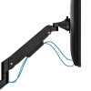Ramię do monitora DS70-250BL1 NEXT Slim-14827536