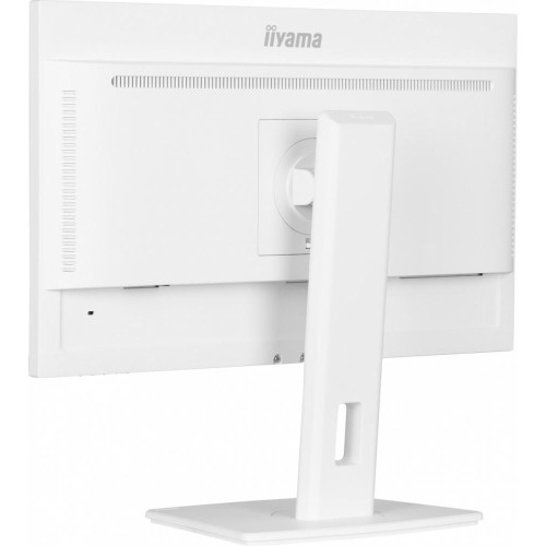 Monitor 24 cale XUB2497HSN-W2 IPS, USB-C Dock, HDMI, DP, 300cd, Pivot, HAS, biały /5y/-14823560