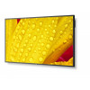 Monitor wielkoformatowy MultiSync M431-2 43 cale UHD 500cd/m2 24/7-15038452