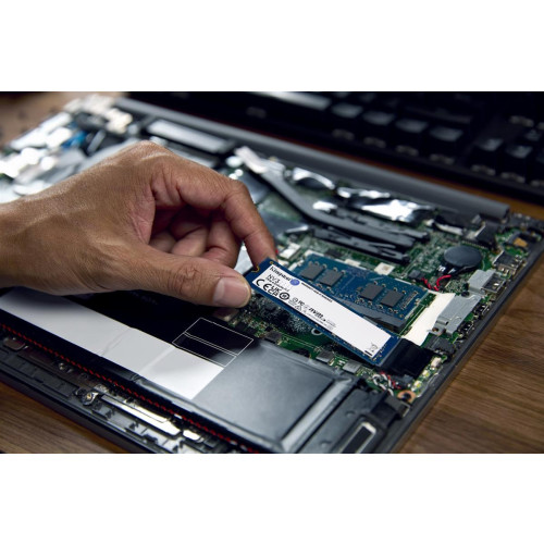 Kingston DYSK SSD 500G NV3 M.2 2280 PCIe 4.0 NVMe-15005624