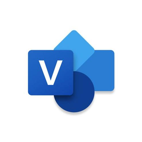 Visio Professional 2024 All Languages Online Product Key License 1 License ESD